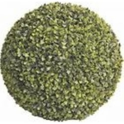 Siepe Sempreverde Balla D 38 Cm